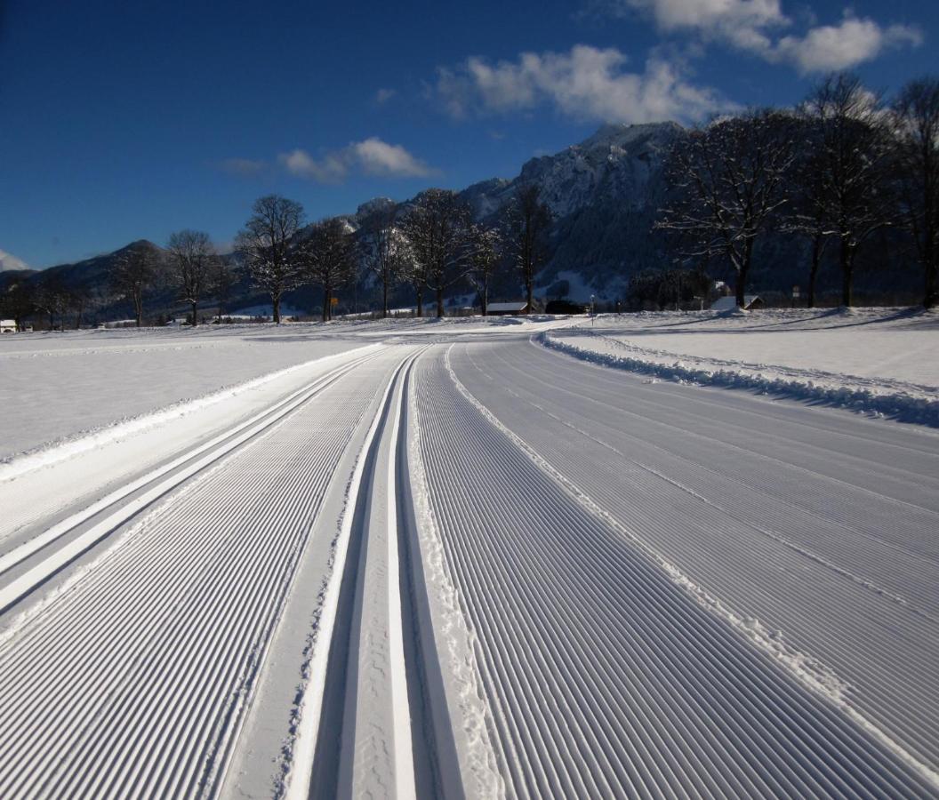 Gaestehaus Wild-Schuetz ชวานเกา ภายนอก รูปภาพ
